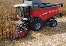 Sklízecí mlátičky sklízeče kukuřice Massey Ferguson CF 675F