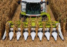 Sklízecí mlátičky sklízeče kukuřice Claas Corio 570 C