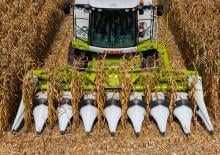 Sklízecí mlátičky sklízeče kukuřice Claas Corio 670 C