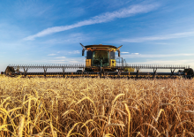 Sklízecí mlátičky žací lišty New Holland 880CF SuperFlex Draper