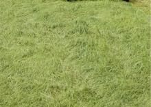 Traktory 4WD DEUTZ-FAHR Agroplus 320 DT