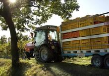 Traktory 4WD SAME Frutteto³ S 90.3 DT
