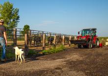Traktory 4WD Massey Ferguson MF 1765 M MP 