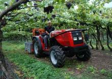Traktory 4WD Massey Ferguson MF 3435-4 GEV