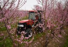 Traktory se zadním náhonem Case IH Farmall 100N